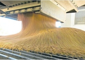 La molienda de soja fue la única que creció durante el primer semestre del año