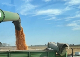 En el primer semestre el agro aportó más de 11.500 millones de dólares a la economía argentina y ningún otro sector (por ahora) puede suplantarlo