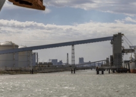 Productores tendrán la posibilidad de permitir que la plataforma Visec tome datos del SISA para garantizar la trazabilidad de las exportaciones