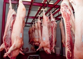 El precio del cerdo al consumidor crece por debajo de la carne bovina y el pollo