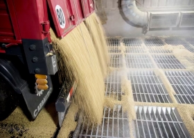 Según un analista calculan que una baja de retenciones a la soja podría disparar ventas por US$8600 millones hasta fin de año