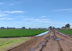 Vale oro. Santa Rosa fue generosa en gran parte de la región agrícola, aunque dejó esperando a algunas zonas