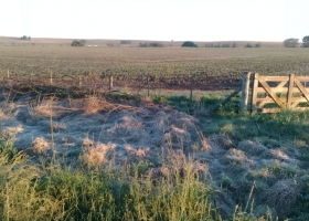 El frente frío, una ayudita para el campo y una escoba para el humo que llega desde Bolivia