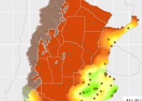 Preocupante informe hay dos millones de hectáreas con trigo de regulares a malas y se vienen 30 días decisivos