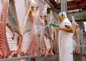 Mercados de carne vacuna las exportaciones crecieron un 23% en agosto