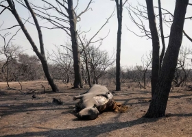 Incendios en Córdoba estiman que 150 productores fueron afectados por el desastre y la provincia prepara una ayuda