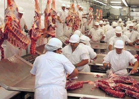 La faena y producción de carne vacuna, pero el consumo cae más y entonces es creciente la participación de las exportaciones