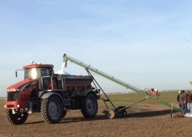 Se reactivó de manera parcial la demanda de urea ante la suba del precio internacional del fertilizante