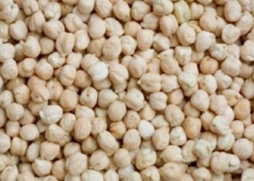 Prorrogan el plazo de embarque de las DJVE de legumbres y especialidades agroindustriales por la crisis de contenedores