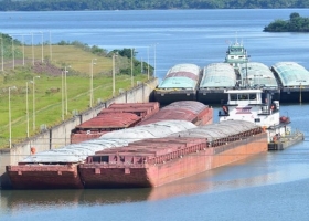 En lo que va del ciclo comercial 2023/24 casi dos de cada diez toneladas procesadas por la industria aceitera argentina provino de Paraguay