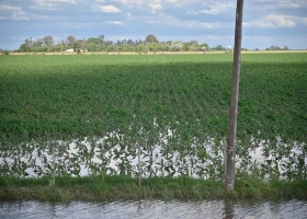 La noticia del momento las lluvias le dieron un empujón decisivo al campo en la larga carrera hasta la cosecha