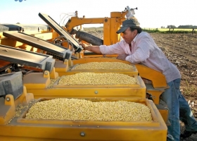 A partir de las lluvias, cobra ritmo el mercado de insumos agrícolas