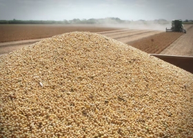 Récord del agro octubre cerró con el mayor ingreso de dólares de los últimos 22 años para este mes