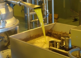 Se recupera la producción mundial de aceite de oliva pero proyectan que los precios seguirán elevados debido al bajo stock global