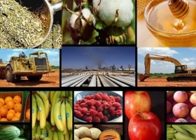 Las exportaciones de las economías regionales siguen creciendo y registran un superávit comercial de US$7.863 millones