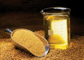 En la campaña 2023/24, Argentina exportará el 80% de su producción