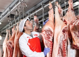 Exportaciones subieron más de un 70% las ventas al exterior de carne porcina y el consumo interno marcó un hito