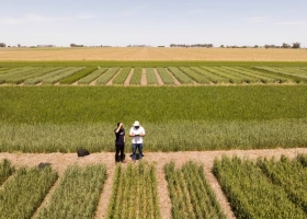 Medida. El Gobierno hizo un fuerte cambio en el registro de variedades vegetales