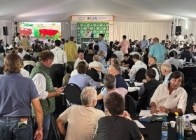 Cyber Monday de vacas en Expoagro son un boom los remates de ganado y ya se facturaron US$23 millones