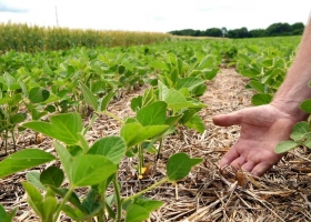 Avance dos empresas lanzaron beneficios para productores que adopten agricultura regenerativa