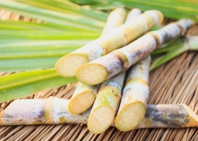 Los jugadores del sector azucarero de Tucumán se comprometieron a exportar un mínimo de 300.000 toneladas de ese producto en la zafra 2025