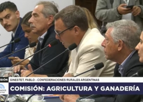 Jugada en el Congreso el campo exigió el fin de las retenciones y denunció su inconstitucionalidad