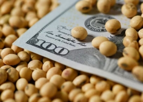 Nuevo dólar. Los expertos no ven que las medidas del Gobierno aceleren los tiempos de la venta de granos: el futuro de más de US$4200 millones