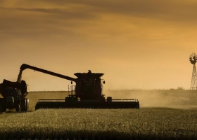 Impacto en el primer día de la salida del cepo las cerealeras registraron 1,7 millones de toneladas de granos para exportar