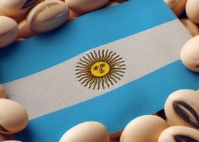 Zarpado. El precio de la soja argentina subió más de un 17% en apenas tres días en el marco del nuevo esquema cambiario