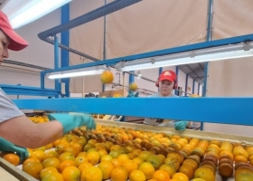 Un semáforo demasiado naranja, como para detenerse y ponerse a pensar seriamente en la delicada situación de las economías regionales