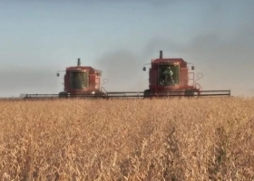 Gran noticia. Se vienen varios días con tiempo ideal para avanzar con la cosecha gruesa