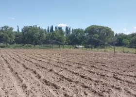 Para papa y tomate la decisiva intervención del INTA que cambió todo en una zona árida de Catamarca