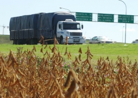 Fuerte caída el mercado comienza a sentir la presión de la oferta de la cosecha de soja