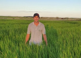 Crisis del arroz en Entre Ríos el 17% de los productores abandonaría la actividad y caería 15% la siembra