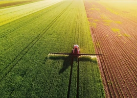 Desgaste silencioso gran parte de la Argentina está con niveles críticos de nutrientes esenciales en el suelo