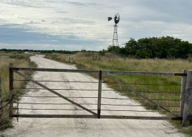 El efecto góndola vacía que llegó al mercado de campos y mueve las operaciones