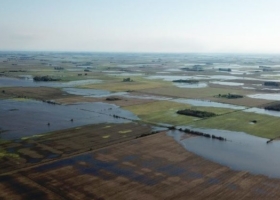 Argentina perdió parte de su cosecha de soja por el temporal, pero por el momento nadie se anima a ponerle número al desastre