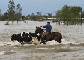 Es catastrófico drama en los campos bonaerenses que quedaron bajo el agua