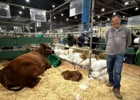 Cambio de rumbo dejó una fábrica y puso una cabaña ganadera donde todos los animales tienen nombres de pueblos