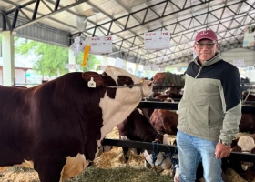 Lo hacen por su padre son los reyes de la frutilla y ahora van por la gloria con los toros