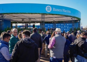 Refleja confianza en cuatro días el Banco Nación recibió solicitudes de crédito por US$6500 millones, una cifra histórica