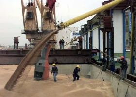 Efecto doble presión en junio ya llegaron US$1300 millones del agro y estiman que el mes podría finalizar con hasta US$5000 millones