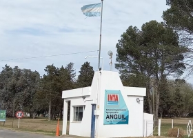 Horas decisivas el secretario de Agricultura les confirmó a los presidentes de los consejos del INTA que habrá fuertes cambios en el organismo