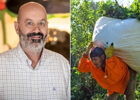 Capas tectónicas Federico Sturzenegger celebró el fin de una exigencia para la yerba mate que ya estaba con una “letra muerta”