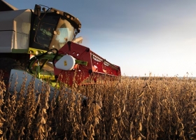 Horas decisivas el Gobierno está más cerca de volver a aumentar las retenciones y hay fuerte malestar en el agro