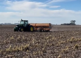 La siembra de trigo tomó impulso en el sur del área agrícola gracias al clima seco