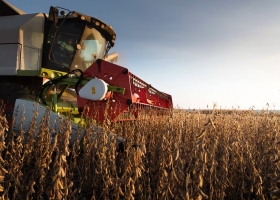 Inviable advierten que, por la suba de las retenciones, la soja no será rentable en el 80% del área agrícola