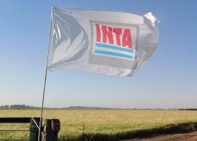 El INTA que no queremos