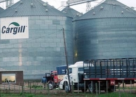 Cargill, Viterra y Cofco lideraron las exportaciones agroindustriales en el primer semestre de 2025