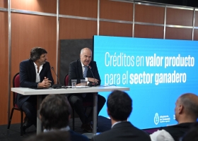 El Gobierno Nacional lanzó créditos en kilos de novillo para aumentar el stock ganadero